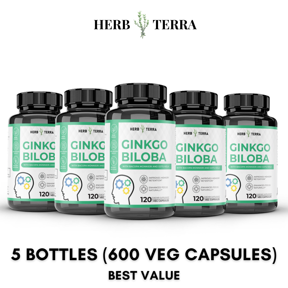 Ginkgo Biloba 5 Bottles