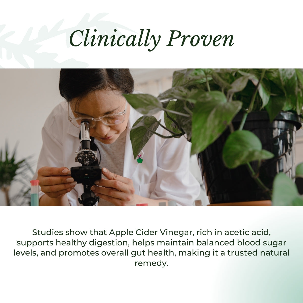 Scientist examining plant cells. | Herb terra