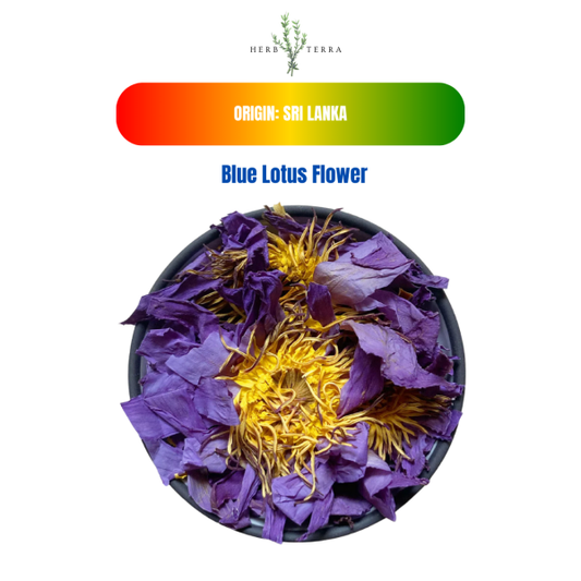 Dried Blue Lotus Flowers in Bowl | Herb terra