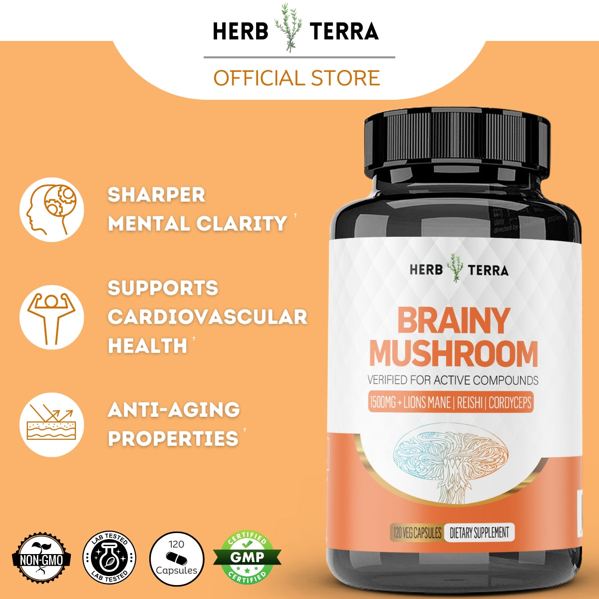 Herb Terra Brainy Mushroom supplement 
| Herb terra
