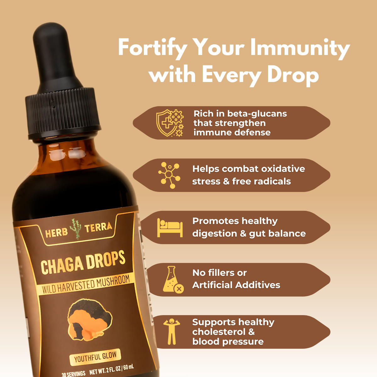 Herb Terra Chaga Drops bottle with health benefits text on a beige background