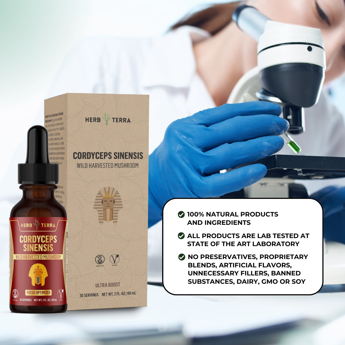 Cordyceps Mushroom Drops
