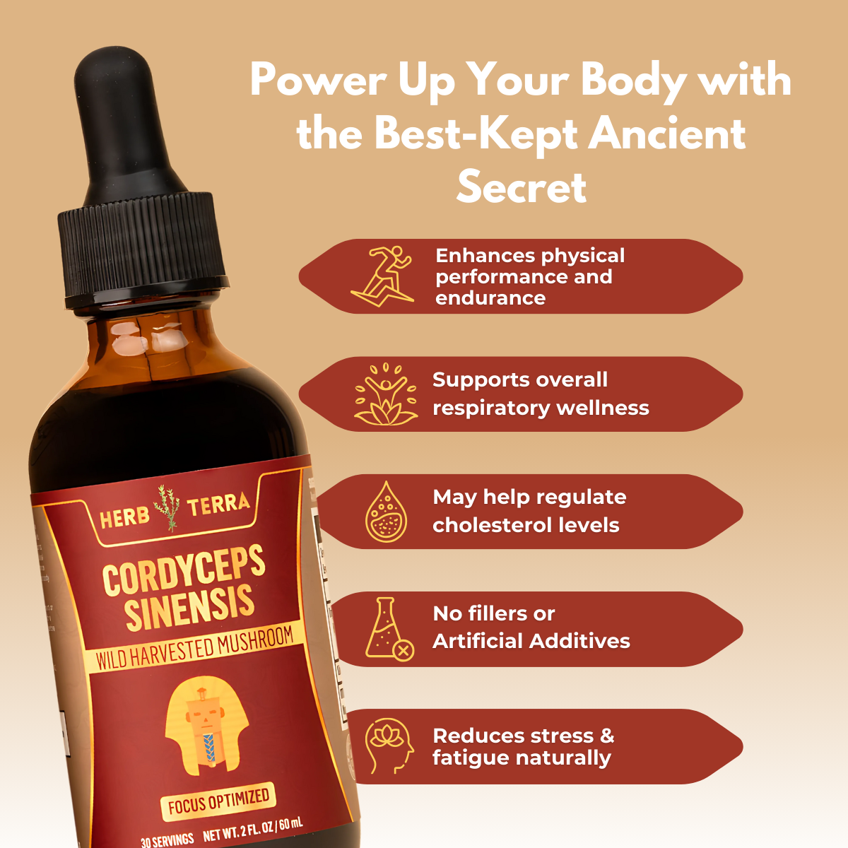 Cordyceps Sinensis bottle.| Herb Terra