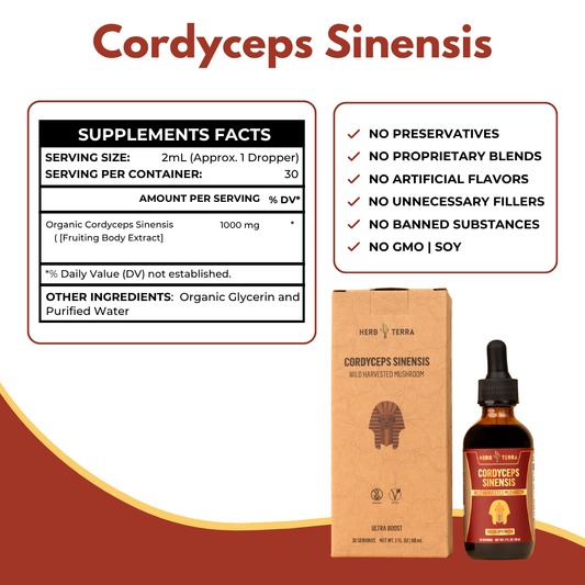 Cordyceps Sinensis supplement with bottle, box, and supplement facts label on a white background.