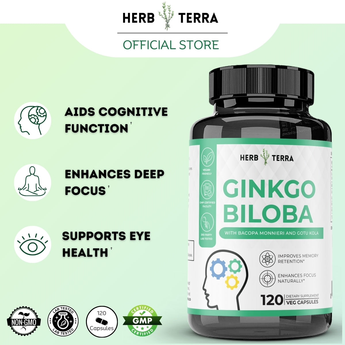 Herb Terra Ginkgo Biloba bottle
| Herb terra