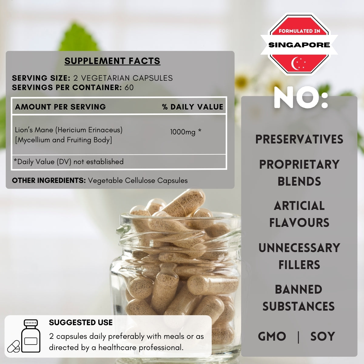 Lion's Mane mushroom supplement facts.
| Herb terra