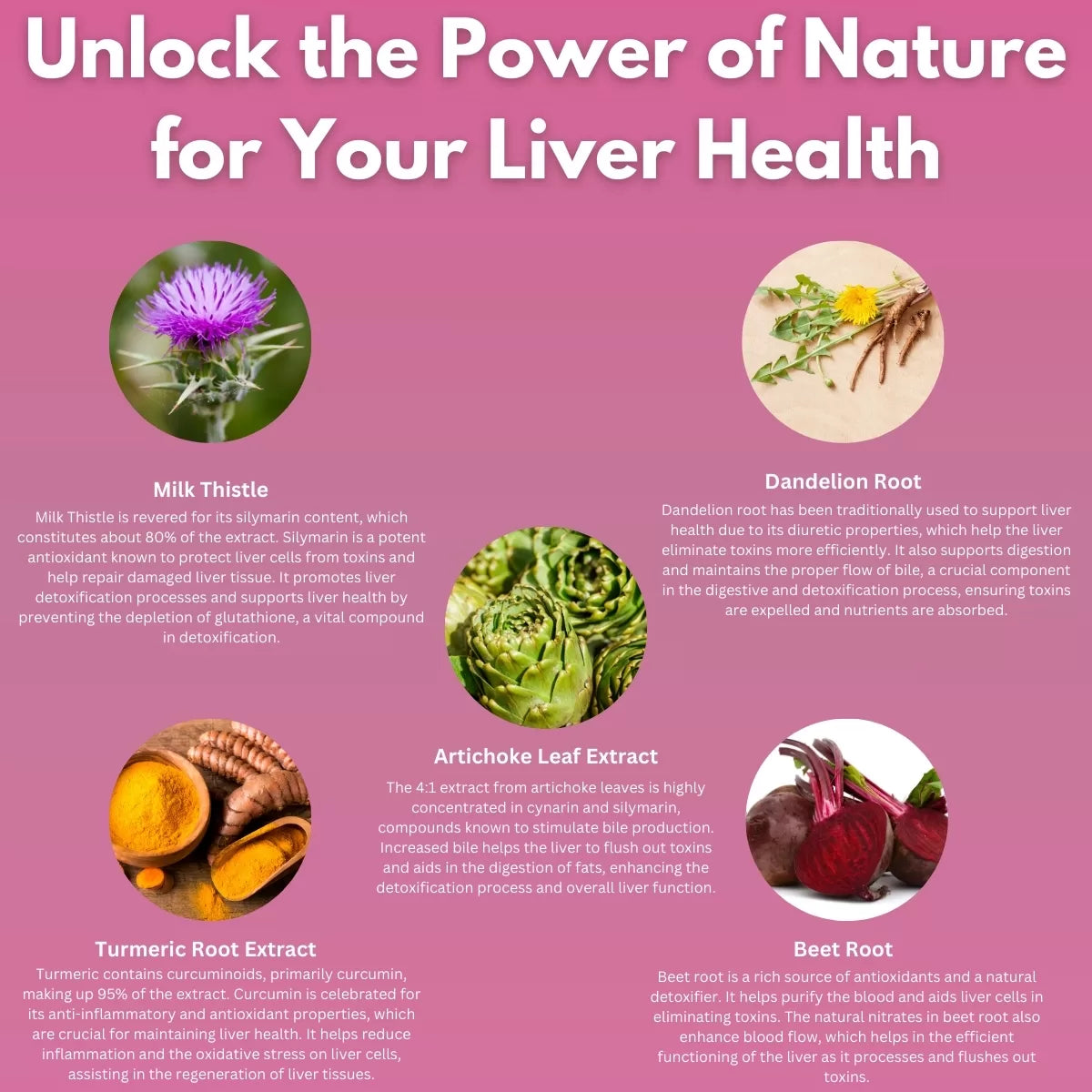 Liver health with natural herbs.
| Herb terra