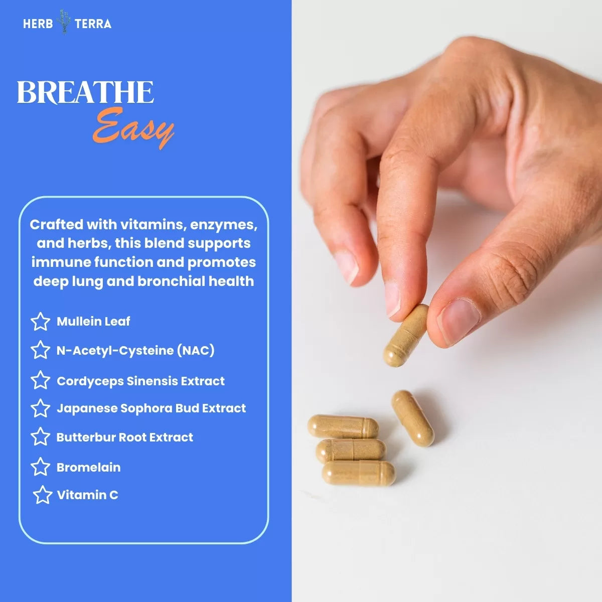 Breathe Easy Lung & Bronchial Support
| Herb terra