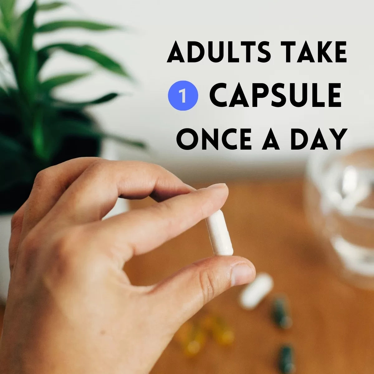 Hand holding capsule, dosage instructions.
| Herb terra