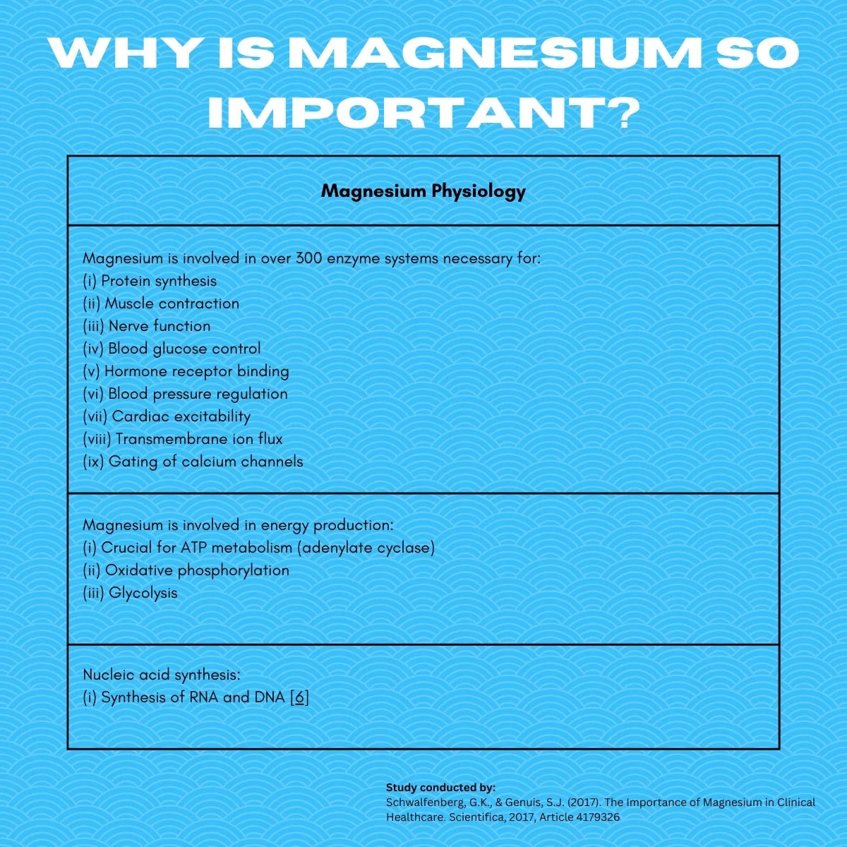 Magnesium's importance in physiology
| Herb terra