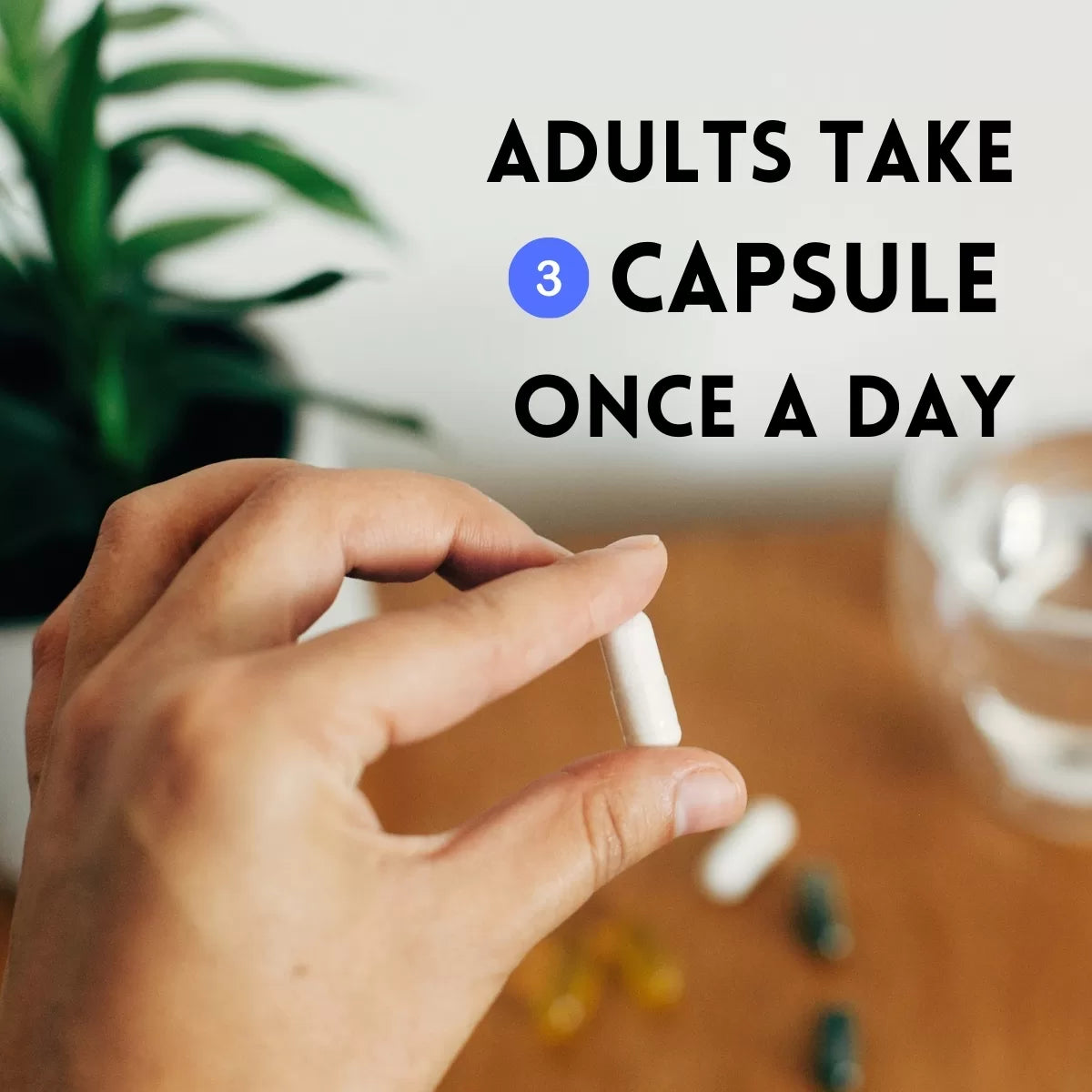 Hand holding capsule, dosage info.
| Herb terra