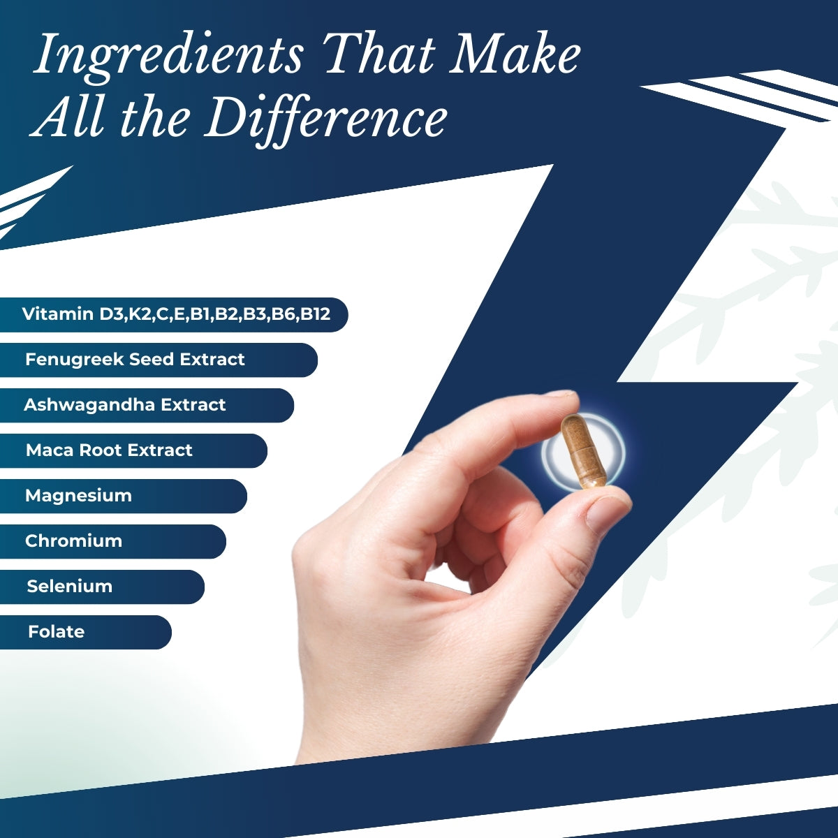 Hand holding a capsule; list of ingredients.| Herb Terra