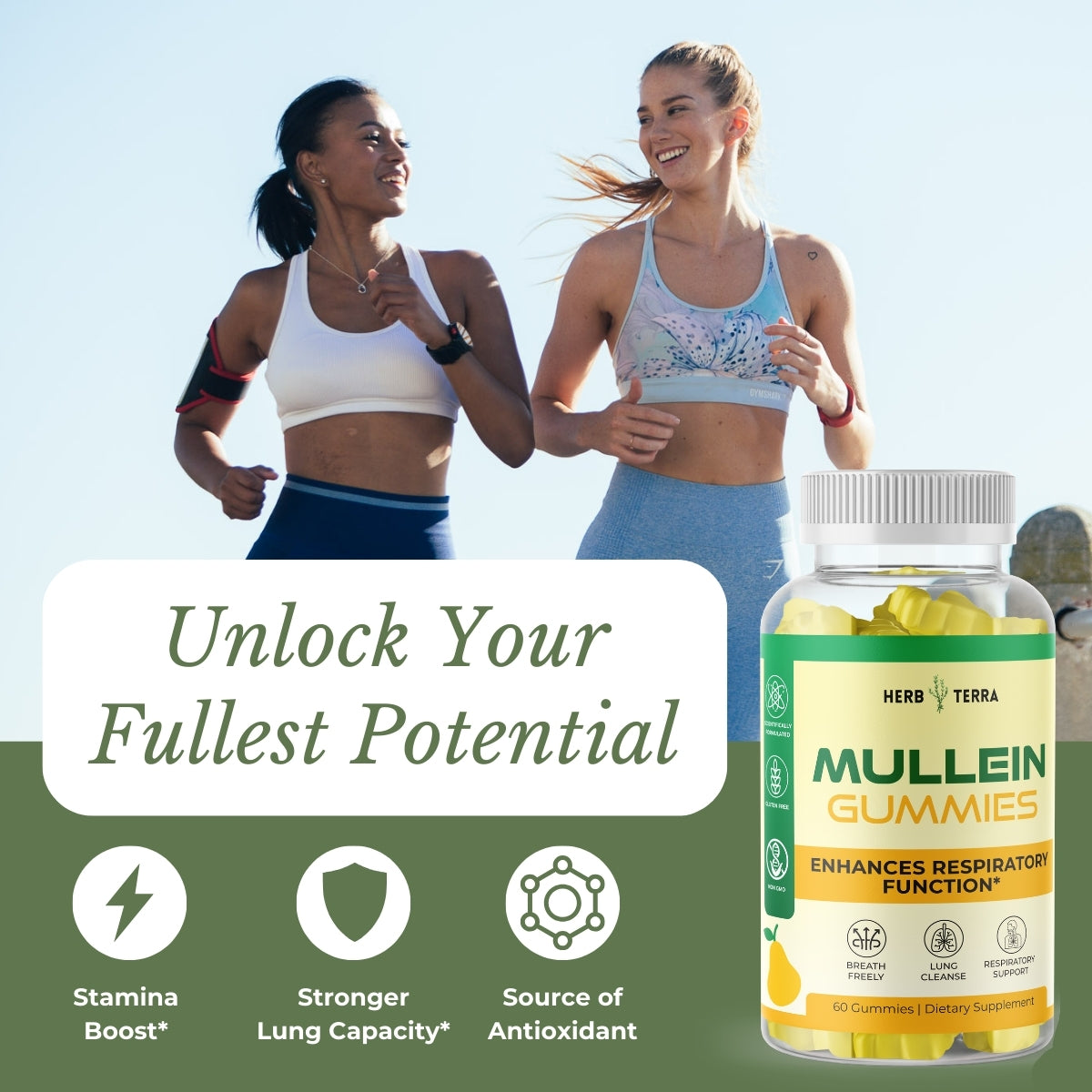 Mullein Gummies for lung health.
| Herb terra