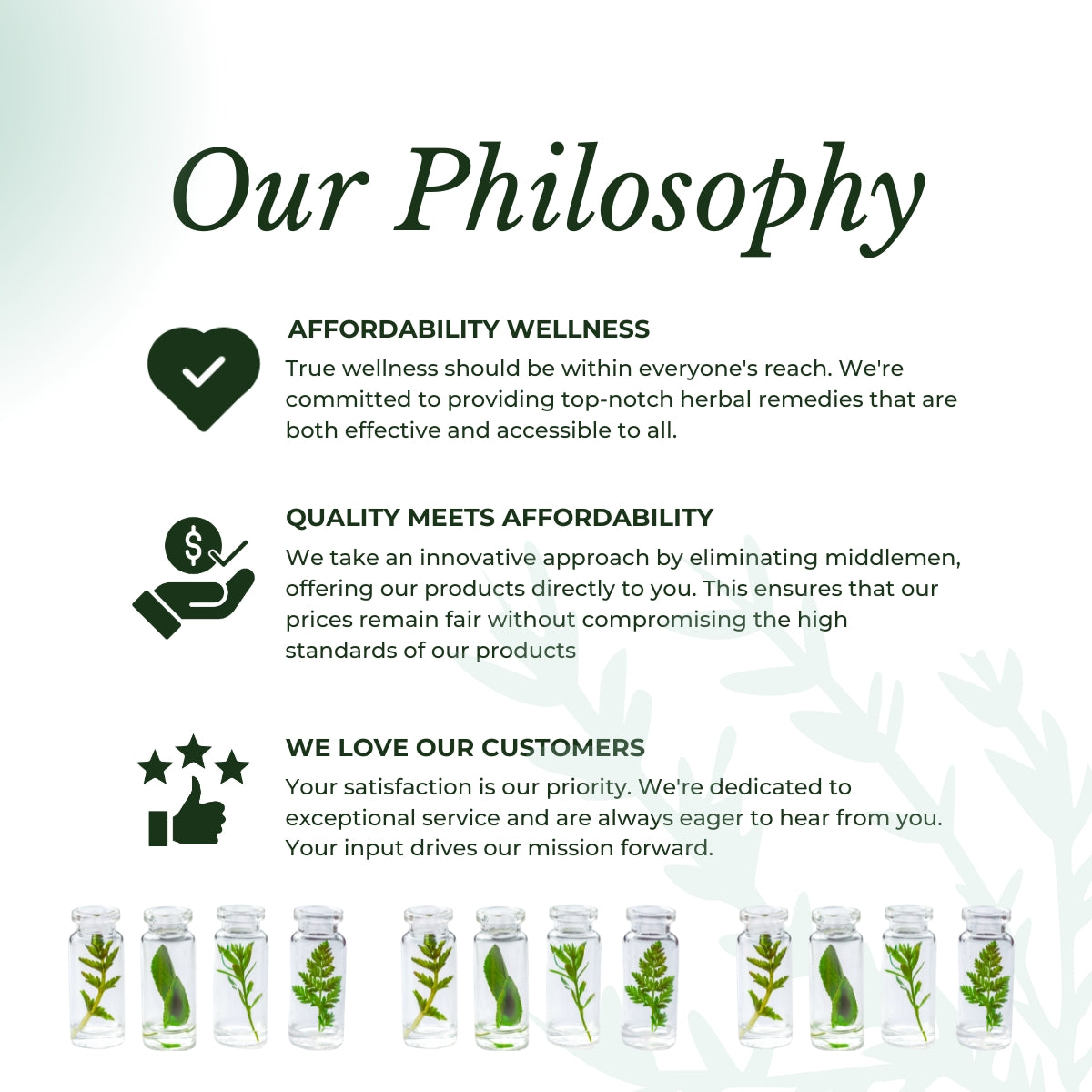 Our Philosophy: Herbal Remedies Values | Herb terra