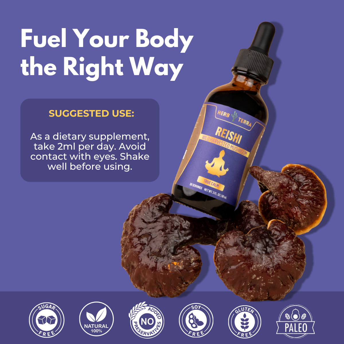 Reishi bottle on purple | Herb Terra