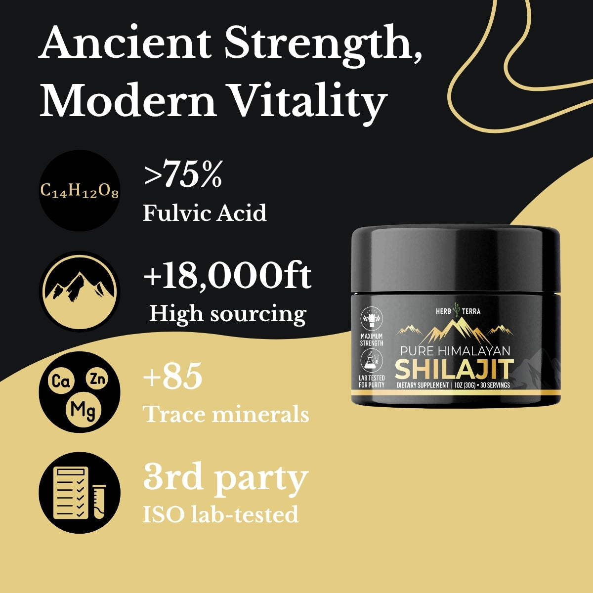 Pure Himalayan Shilajit Resin