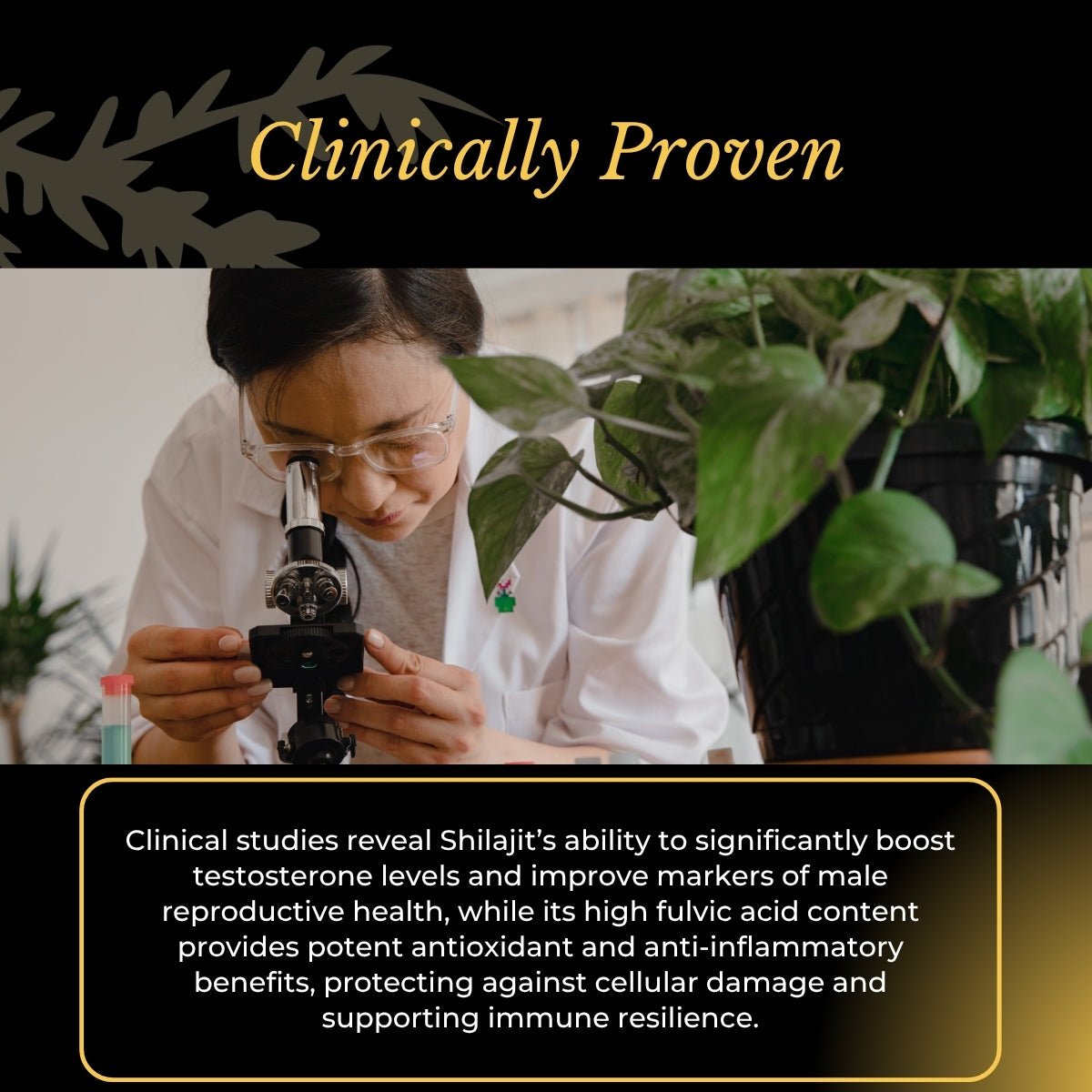 Pure Himalayan Shilajit Resin