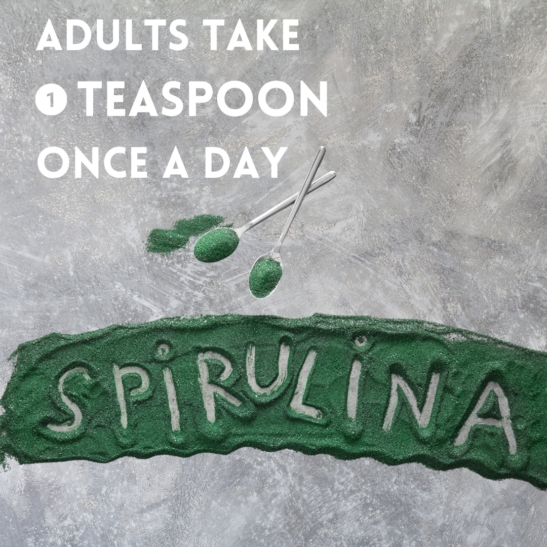 Spirulina: dosage & powder with spoons.
| Herb terra