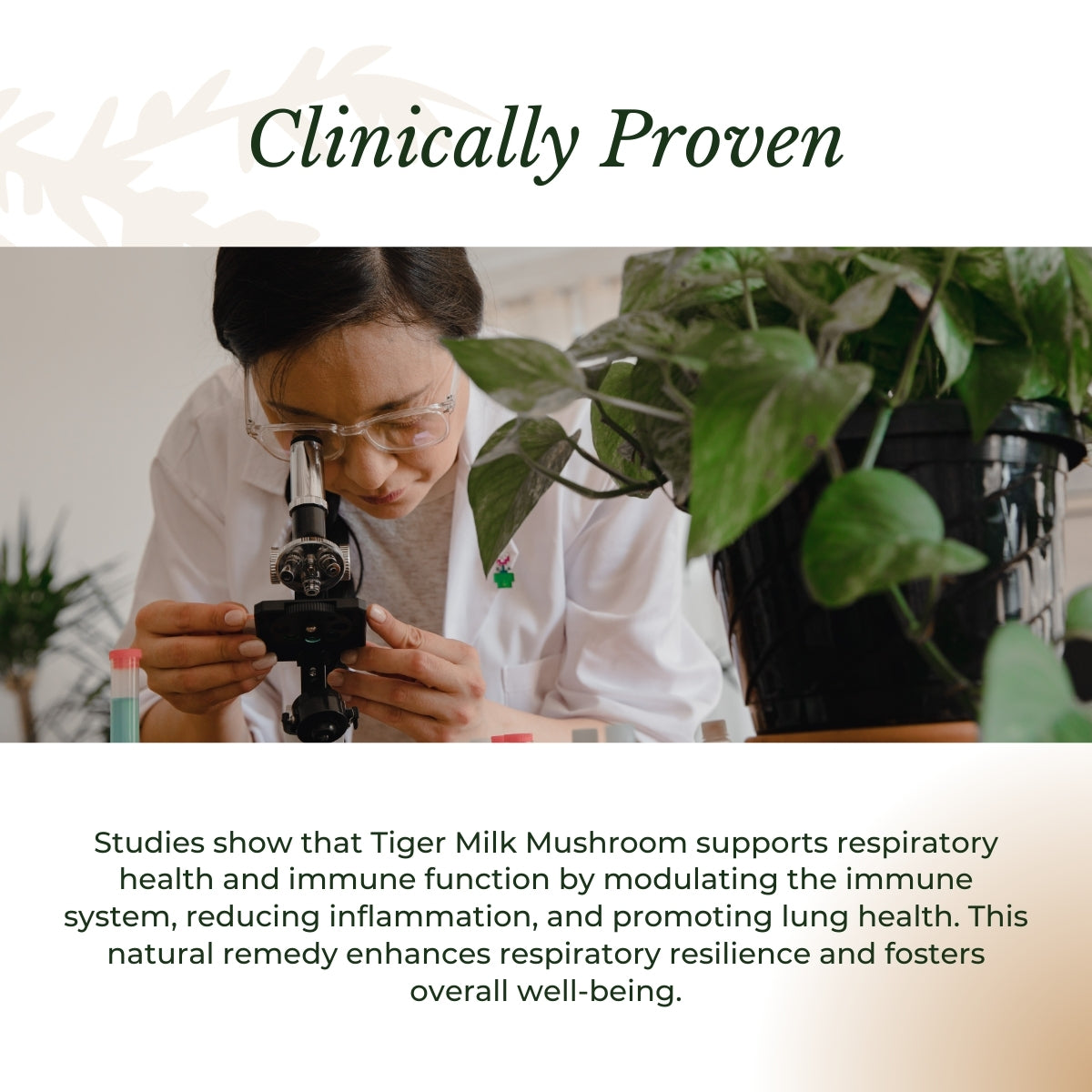 Woman examines mushroom in lab with plants. | Herb terra