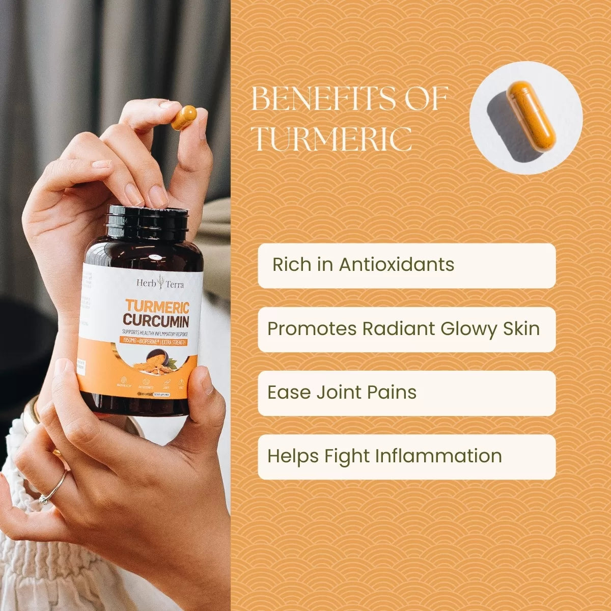 Turmeric Curcumin benefits
| Herb terra