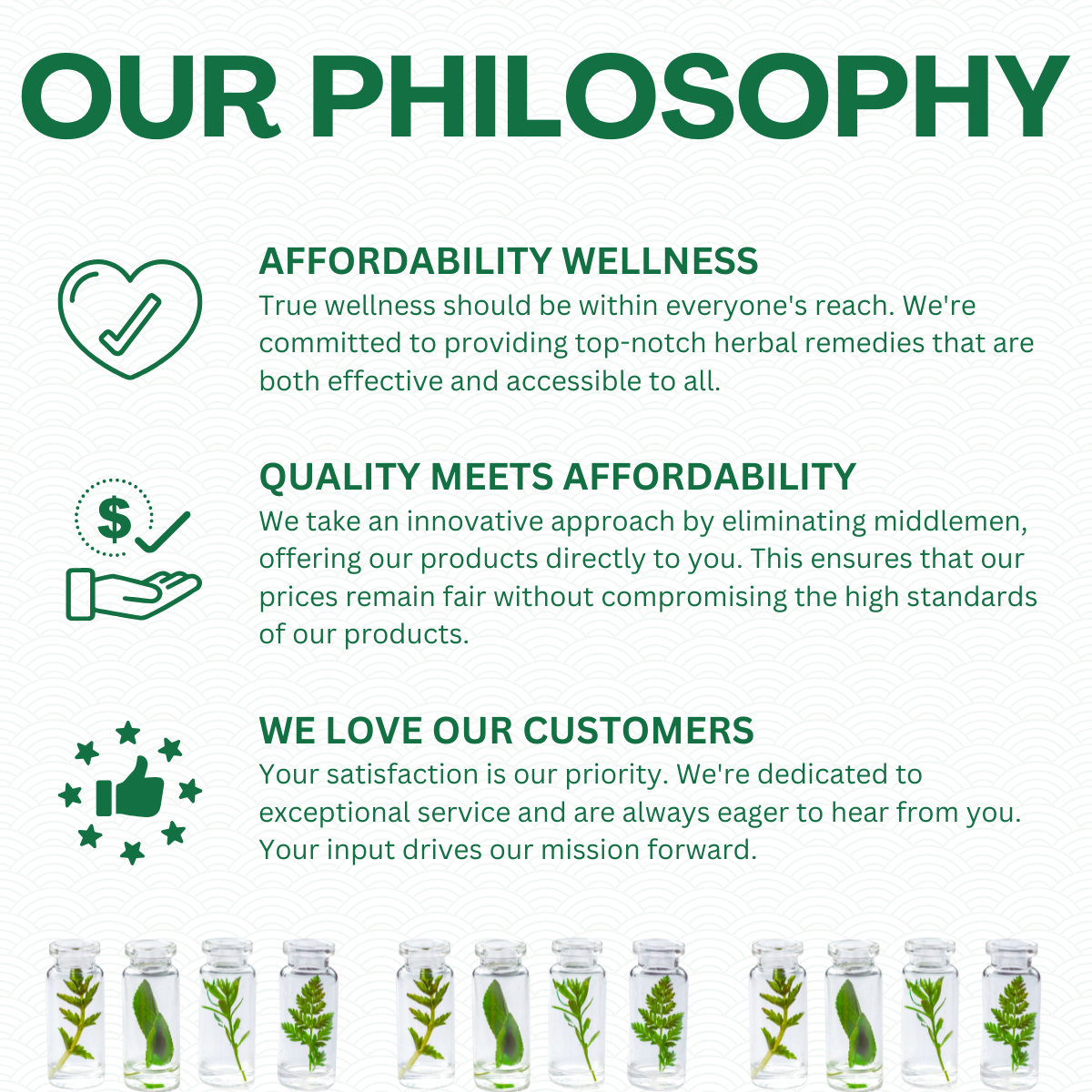 Brand philosophy with herb jars on green | Herb Terra
