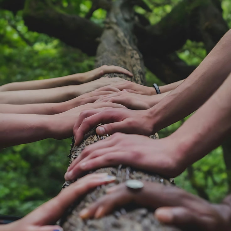 Hands touching tree trunk, unity, nature.| Herb Terra