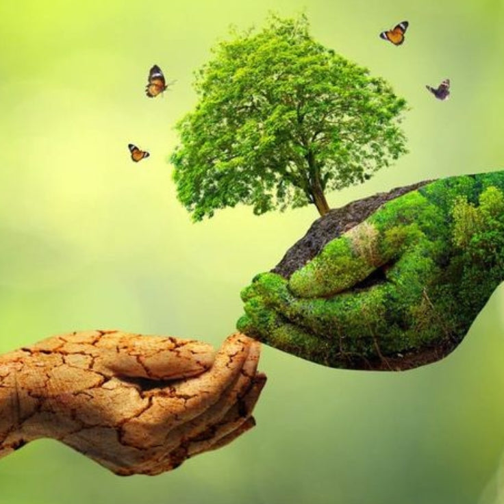 Cracked hand reaches green hand with tree.| Herb Terra