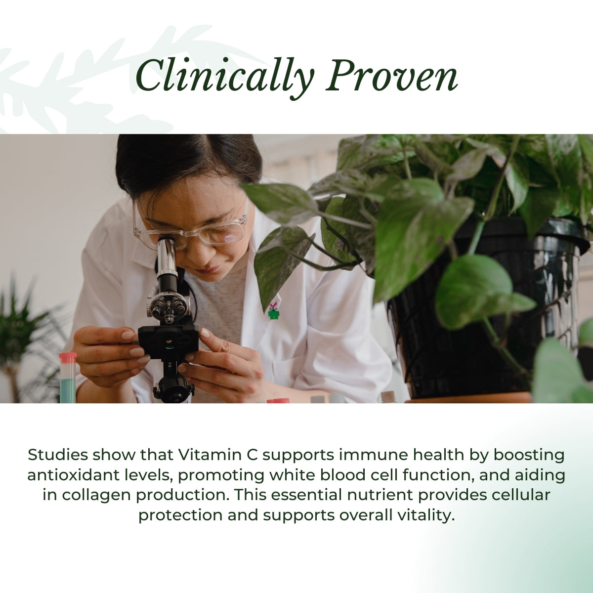 Female scientist uses microscope near plant. | Herb terra