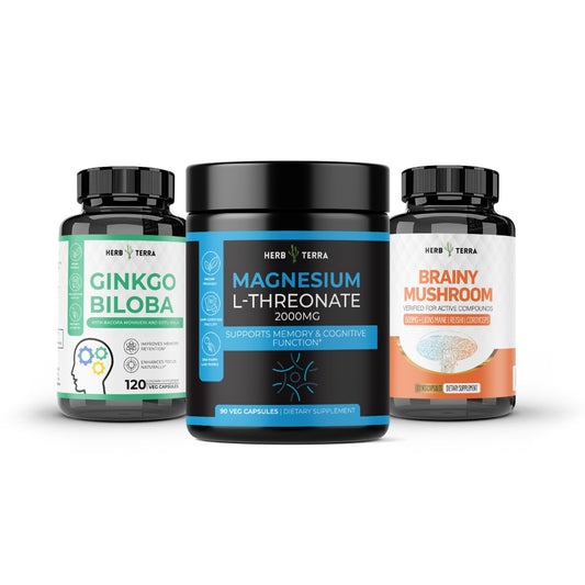 Three supplement bottles labeled Ginkgo Biloba, Magnesium L-Threonate, and Brainy Mushroom on a white background.