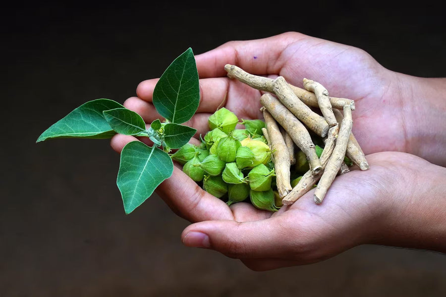 ashwagandha