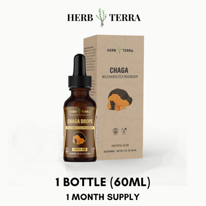 Chaga Mushroom Drops – 1 Bottle