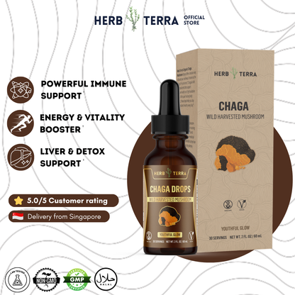 Chaga Mushroom Drops – image 2