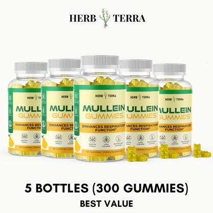 Mullein Leaf & Honey Gummy – 5 Bottles