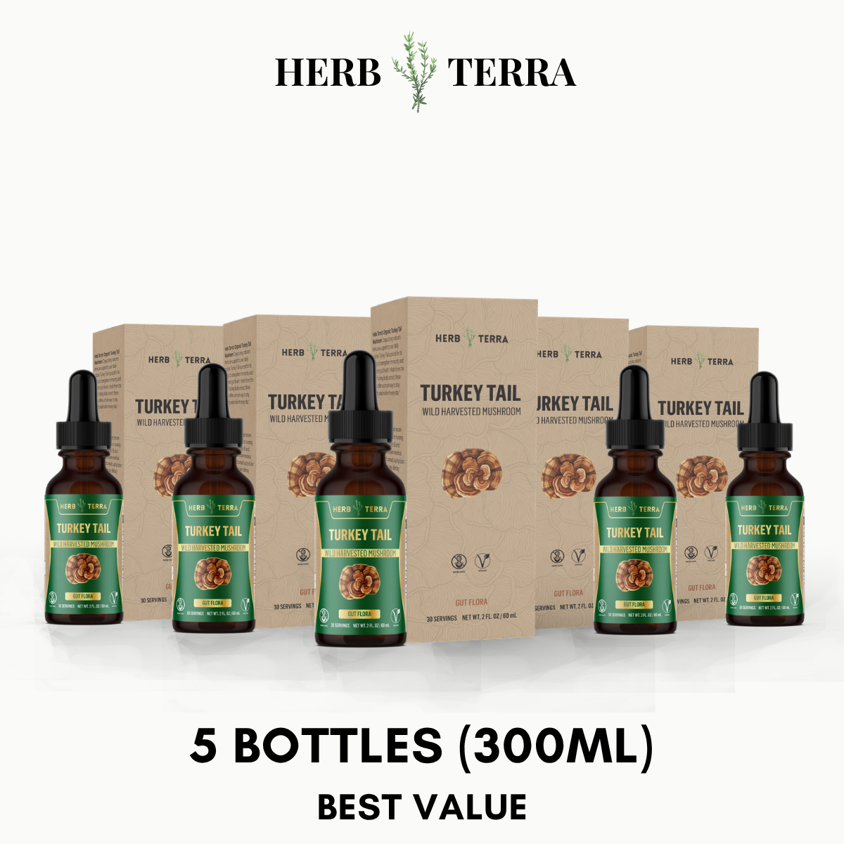Turkey Tail Mushroom Drops – 5 Bottles