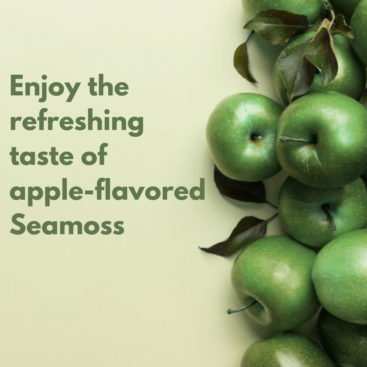 Irish Sea Moss Gummies – image 5