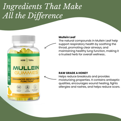 Mullein Leaf & Honey Gummy – image 5