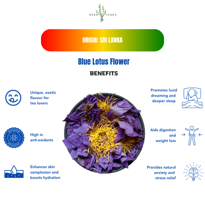 Premium Egyptian Blue Lotus Flower – image 2