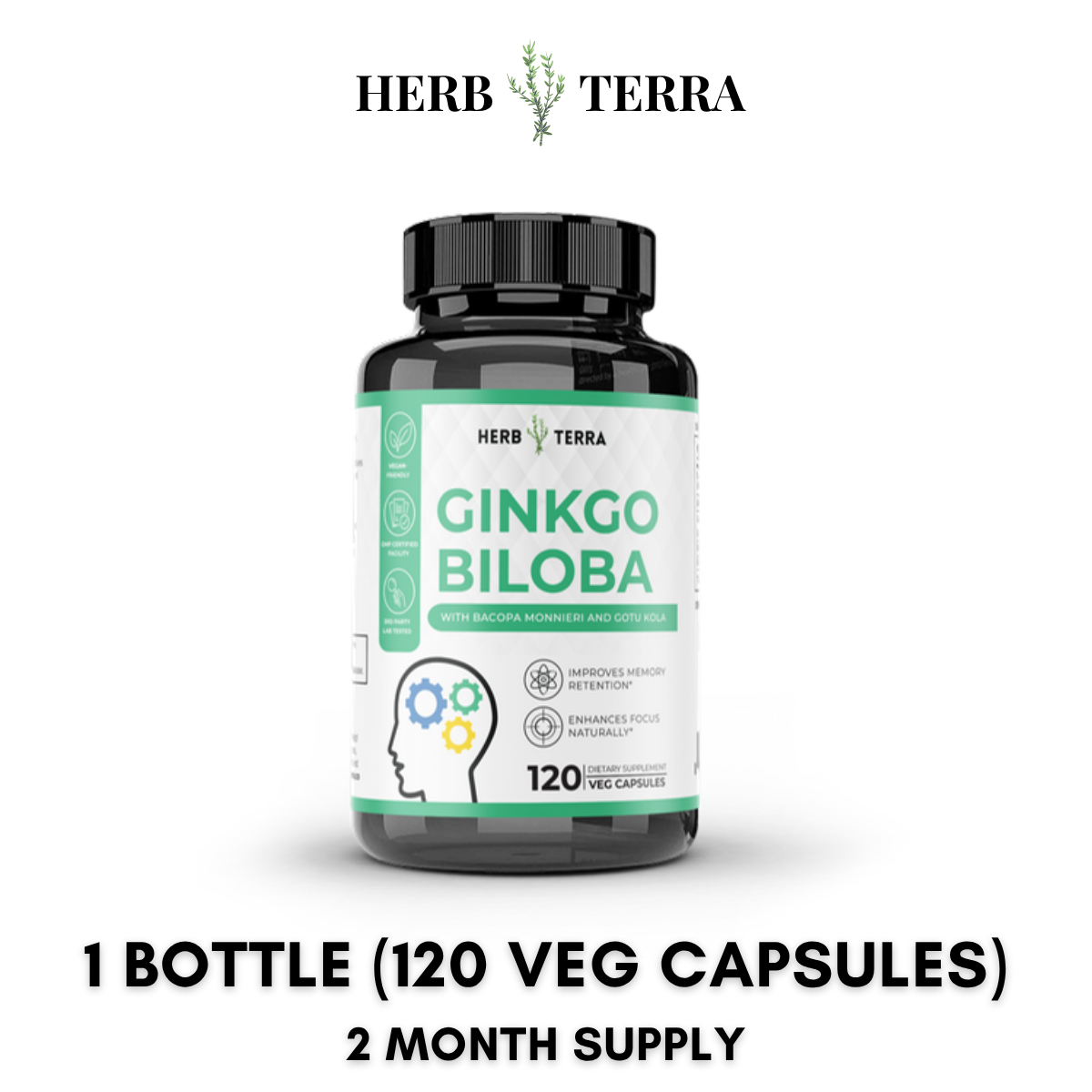Ginkgo Biloba 1 Bottle
