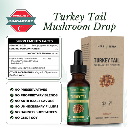 Turkey Tail Mushroom Drops – image 6