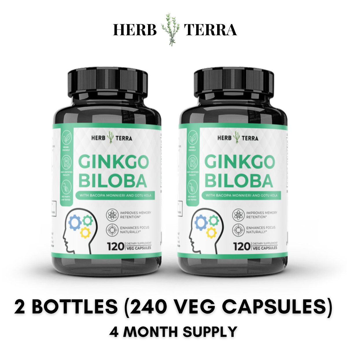 Ginkgo Biloba 2 Bottles