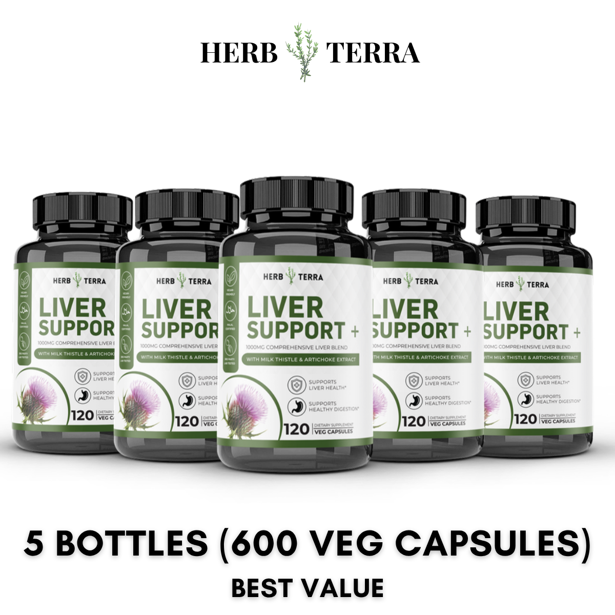 Liver Support+ – 5 Bottles