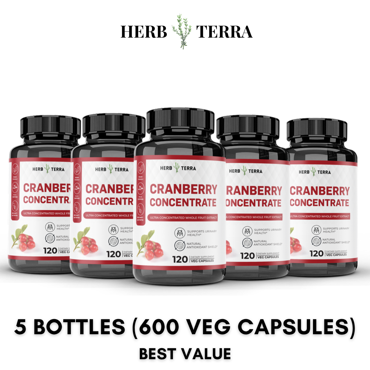 Cranberry Extract – 5 Bottles
