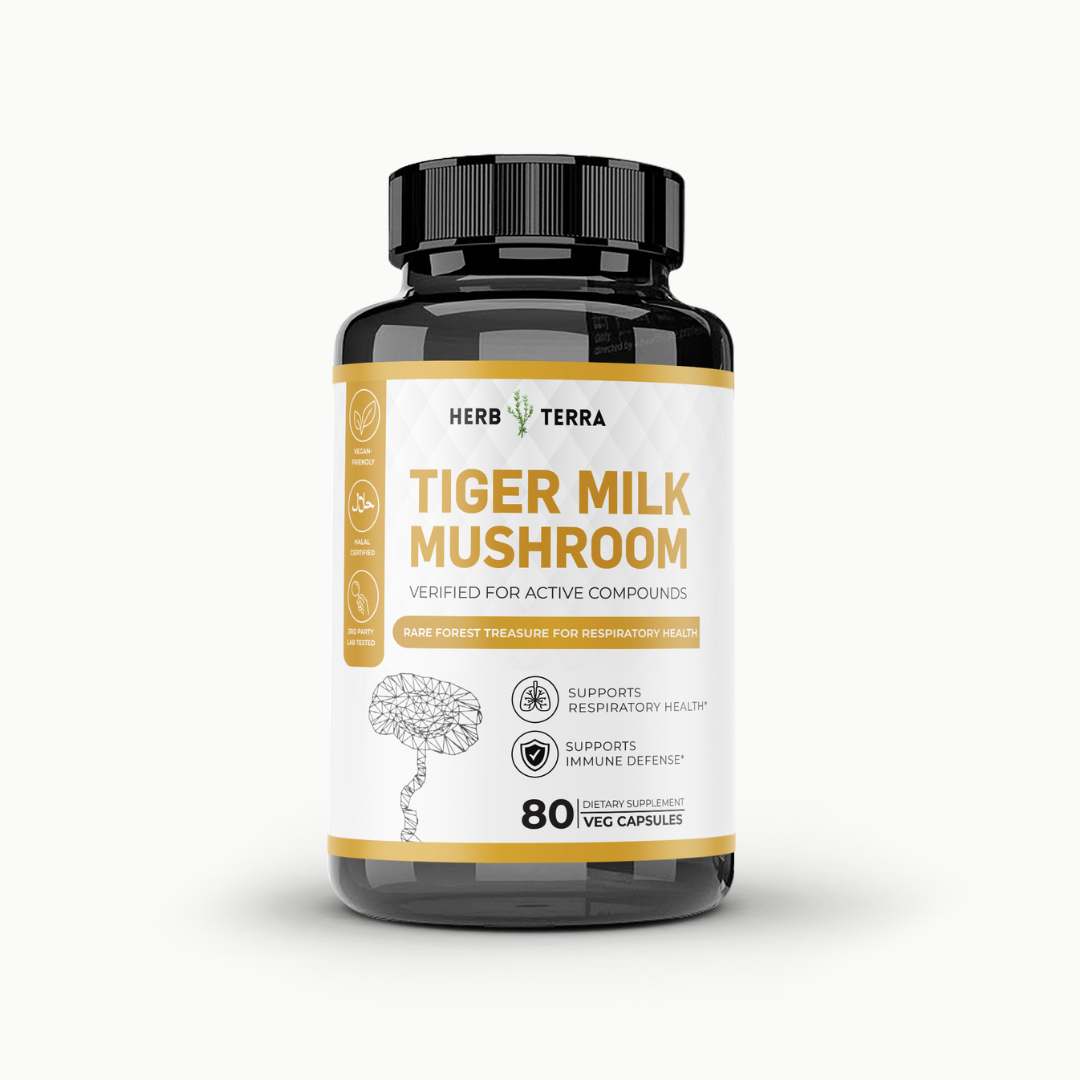 Tiger Milk Mushroom 虎乳芝 | 80 Capsules | (Lignosus Rhino)