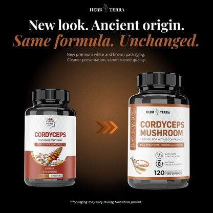 Organic Cordyceps Sinensis 1000mg Capsules 虫草 | 120 Capsules