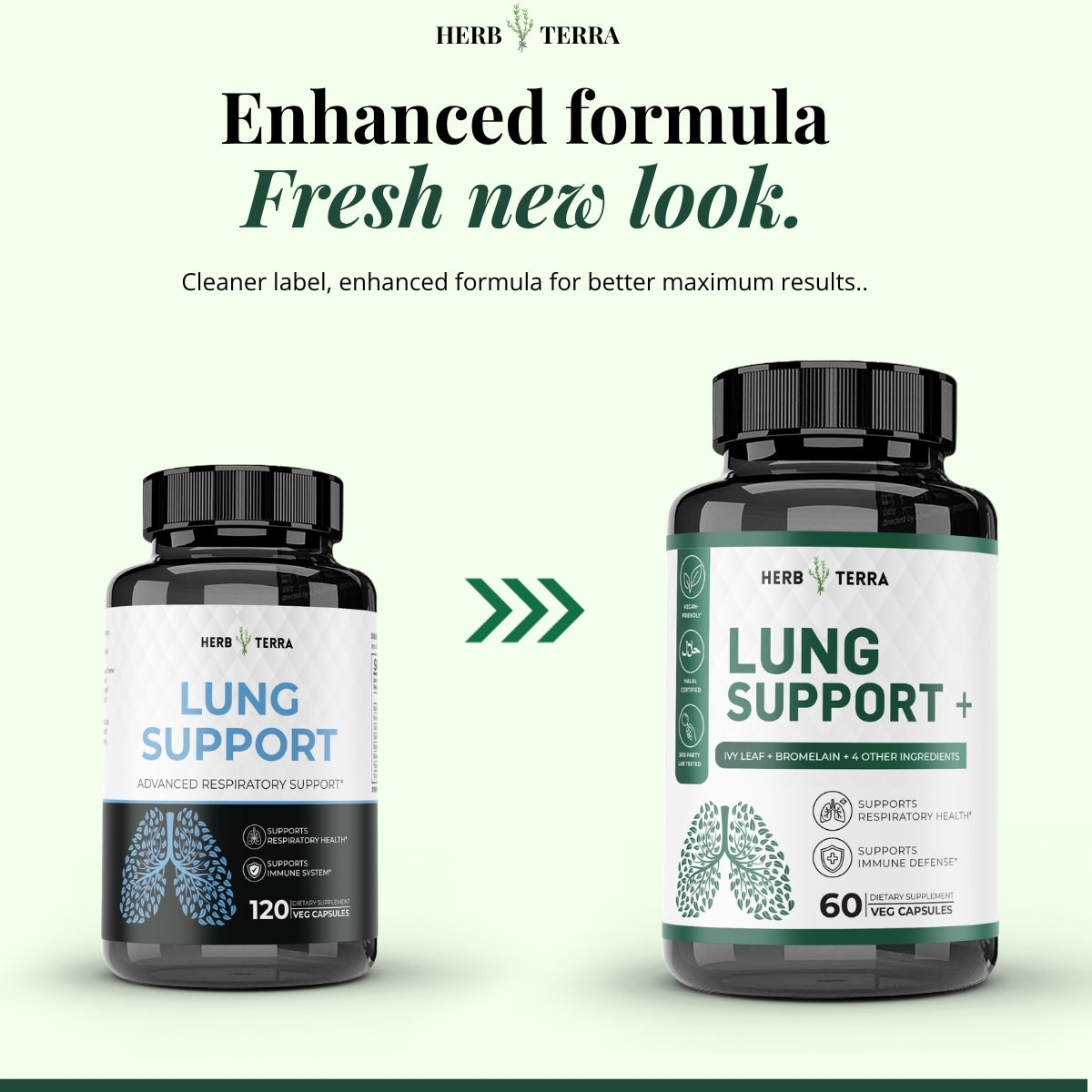 Lung Support+ | 60 Capsules
