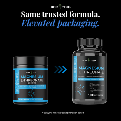 magnesium and l carnitine tablet Zustnutra L-Carnitine with healthy lifestyle plan (includes proper diet magnesium l carnitine tablet Ratiopharm maximize performance and increased strength.Magnesium L MEGNETA Magnesium L-Threonate Liquid, 2000mg