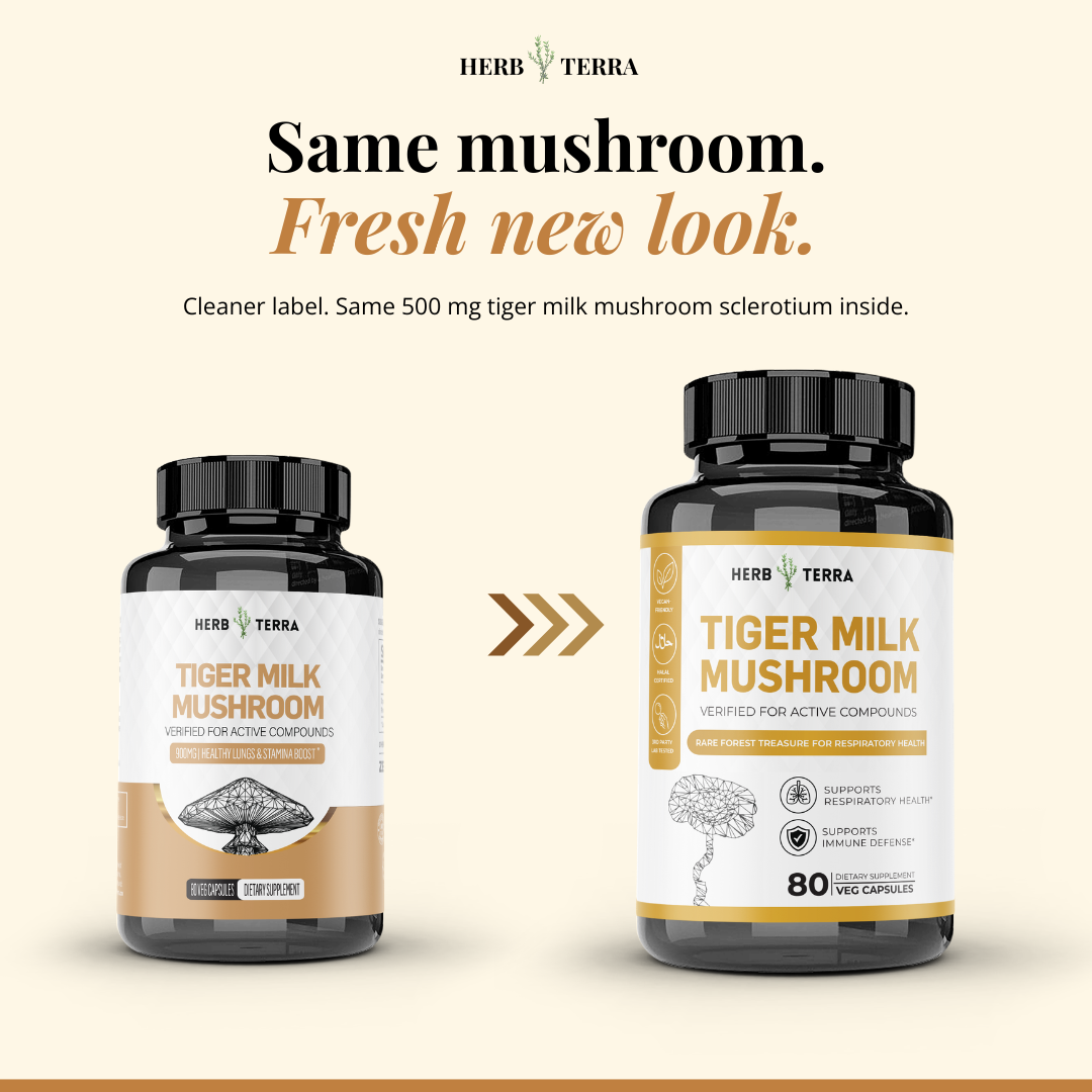 Tiger Milk Mushroom 虎乳芝 | 80 Capsules | (Lignosus Rhino)