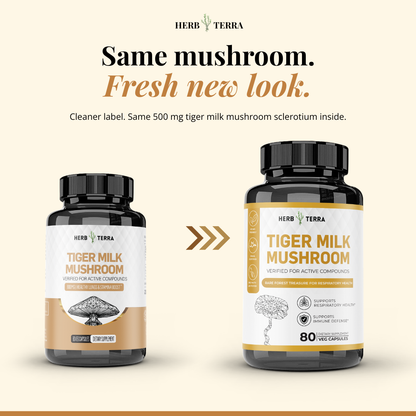 Tiger Milk Mushroom 虎乳芝 | 80 Capsules | (Lignosus Rhino)
