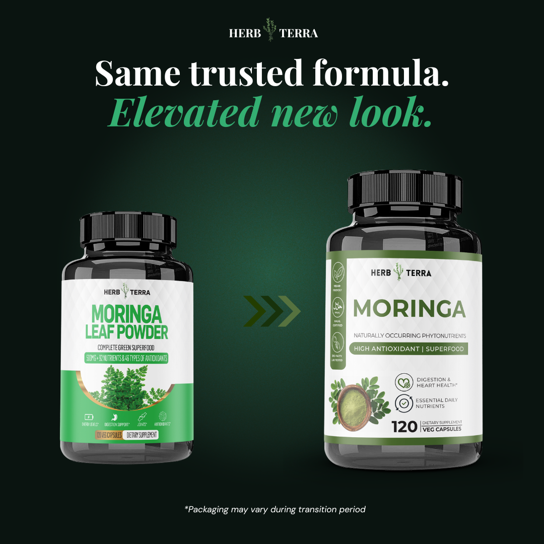 [Bundle of 3] Herb Terra Moringa Leaf 1000mg - Superfood Energy, Skin & Blood Sugar Support