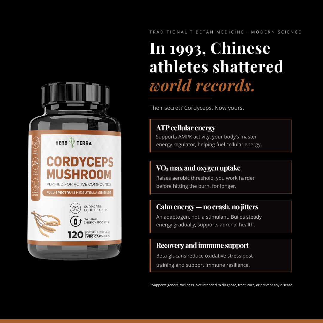 Organic Cordyceps Sinensis 1000mg Capsules 虫草 | 120 Capsules